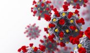 Congreso estadounidense aprueba desclasificar documentos sobre origen de la coronavirus