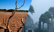 Qué consecuencias puede tener el potente fenómeno de El Niño que los científicos pronostican para los próximos meses