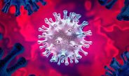 La OMS pide a los países que mantengan la vigilancia del virus de la covid-19